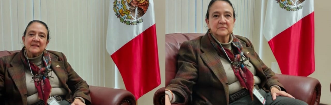 “Se calcula que habrá 5 millones de personas mexicanas posiblemente deportables”, aseguró Judith Arrieta, Cónsul Titular del Consulado Mexicano en Texas