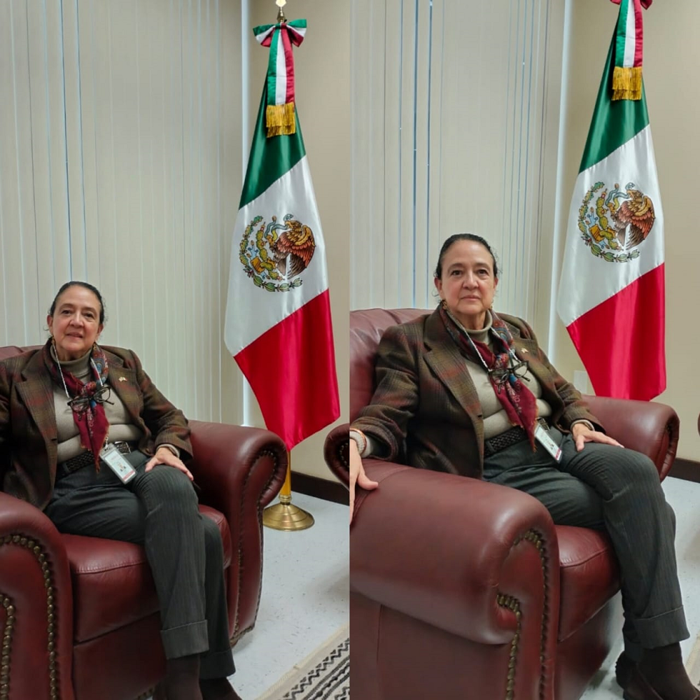 “Se calcula que habrá 5 millones de personas mexicanas posiblemente deportables”, aseguró Judith Arrieta, Cónsul Titular del Consulado Mexicano en Texas